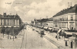 T2 Temesvár, Timisoara; Józsefváros, Utcakép, Villamos, Keppich Adolf üzlete / Iosefin, Street View With Tram And Shops - Unclassified