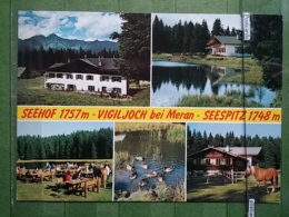 KOV 1144 - SEEHOF, SEESPITZ, VIGILJOCH BEI MERAN, HORSE, CHEVAL - Seehof