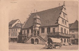 Rare Cpa Molsheim Avec Chariot Sur La Place - Molsheim