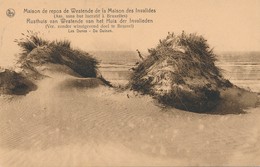 CPA - Belgique -  Flandre Occidentale - Westende - Les Dunes - Westende