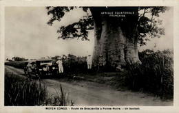 MOYEN CONGO - Route De Brazzaville à Pointe-Noire - Un Baobab - Pointe-Noire