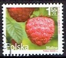 POLAND  #  FROM 2011  STAMPWORLD 4554 - Used Stamps