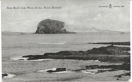 BASS ROCK FROM WEST ROCKS - NORTH BERWICK - EAST LOTHIAN - SCOTLAND - Berwickshire