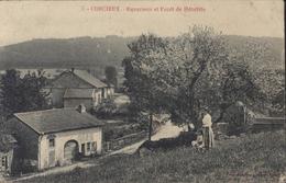CPA Corcieux Ruxurieux Et Foret De Hénéfête 88 Vosges Voyagée 1914 En FM Franchise Militaire - Corcieux