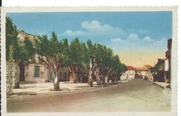 LAPALUD            (    VAUCLUSE )      COURS DES PLATANES , COTE NORD - Lapalud