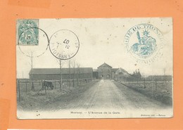 CPA  Abîmée  - Hornoy  -  L'Avenue De La Gare  -( Cachet : Mairie De Tronchoy - Somme) - Hornoy Le Bourg