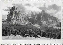 DOLOMITI - GRUPPO DEL SASSOLUNGO DA ALPE DI SIUSI - . EDIZ. AMONN BOLZANO - VUAGGIATA 1967 - Climbing