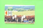 URUGUAY  -  Chip Phonecard As Scan - Other - Africa