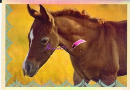 Image Autocollant PANINI Horse Les CHEVAUX Une Aventure Incroyable 12/208 HOLO - Other & Unclassified