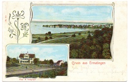 Gruss Aus ERMATINGEN Post & Telegraph Gel. 1903 N. Kradolf - Ermatingen
