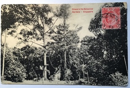 Straits Settlements „TANJONG PASSAR SINGAPORE 1912“ Ppc BOTANICAL GARDEN (cover Picture Post Card Ak Cp - Straits Settlements