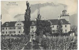 MAIENFELD: Schloss Salenegg Mit Rebbauschule 1916 - Maienfeld