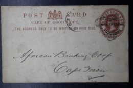 Cape Of Good Hope Postcard Nr 9 Putzel 2, - Kap Der Guten Hoffnung (1853-1904)