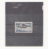 Tunisie, 1949 / 1950, Poste Aérienne N° 15 * - Airmail