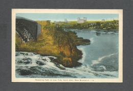 ST JOHN - NEW BRUNSWICK - REVERSING FALLS AT LOW TIDE -  BY PECO - St. John