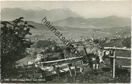 Gais - Blick Zum Säntis - Foto-AK - Verlag Foto-Gross St. Gallen Gel. 1963 - Gais