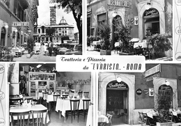 Italie - ROMA - Trattoria E Pizzeria Da Evaristo, Via Carlo Alberto 15 - Bars, Hotels & Restaurants