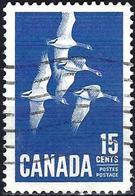 Canada 1963 - Mi 357 - YT 337 ( Birds : Gooses ) - Oche