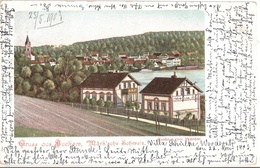 BUCKOW Märkische Schweiz Passepartout Vom Werder Aus Villa Schülke Gelaufen 22.5.1903 - Müncheberg
