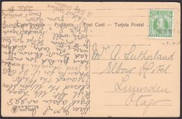 NZ Postcard 1/2d KEVII Rural Trees Scene. - Cartas & Documentos