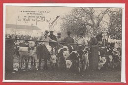 FOLKLORE --  NORMANDIE --  La Normandie C.P.A. --  La Vie Normande  - N° 22 - Marché Aux Veaux - Otros & Sin Clasificación