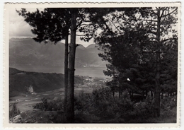 LAGO MAGGIORE - SCORCIO PANORAMICO DALLA PINETA DI MONTEGRINO - LUINO - VARESE - 1954 - Luino