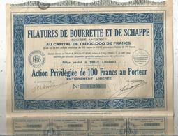 Action Privilégiée De 100 Francs ,FILATURES DE BOURRETTE ET DE SCHAPPE ,Thizy , Rhône, 1934 , Frais Fr 1.95e - Other & Unclassified