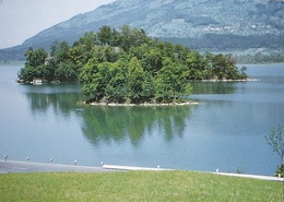 LAUERZERSEE - Lauerz