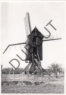 IMPE/LEDE - Originele Foto Jaren '70 A.Carre - Tukmolen - Dijkmolen (Q69) - Lede