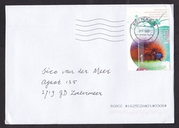 Netherlands: Cover, 2019, 1 Stamp + Tab, Great Bear Caterpillar, Insect (traces Of Use) - Lettres & Documents