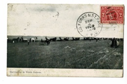 Harvesting In North Dakota - Récolte Du Blé Dans La Plaine, Faucheuses En Nombre - Circulé 1909, Voir Cachet RMS - Autres & Non Classés