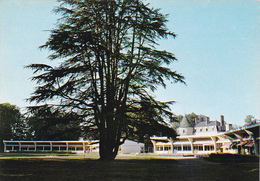 Herbault Classes Ateliers Et Chateau De L Institut Médico Pédagogique éditeur J P Guignard N°4110102 - Herbault