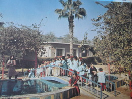 Kuwait Kindergarten - Koeweit