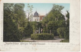 Germany - Jagdschloss Konigs - Wusterhausen - Litho - Wusterhausen