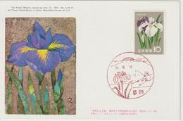 Carte Maximum Japon 1961 Série Fleurs Iris 669 - Cartes-maximum