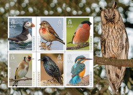 GUERNSEY  2019  Nat. Birds    Owl Goldfinch Kingfisher  Sheetlet     Postfris/mnh/neuf - Unused Stamps