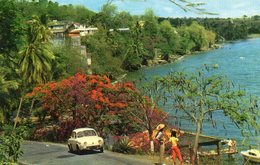 MARTINIQUE- La Cote Caraibe,Environ De SCHOELCHER. - La Trinite