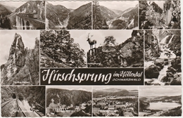 HÖLLENTAL   -  11 Ansichten ** GRUSS Vom HIRSCHSPRUNG Und Umgebung **  -  Verlag : Erwin BURDA Aus Freiburg Nr 39/26 - Höllental