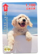 Titre De Transport Bus Card : Chien - Wereld