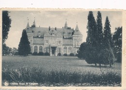CPA - Belgique - Chateau Royal De Ciergnon - Houyet