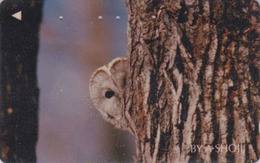 RARE Télécarte Japon / 110-011 - ANIMAL - OISEAU - HIBOU CHOUETTE 105 U - OWL BIRD Japan Phonecard - EULE TK - 4286 - Eulenvögel