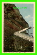 GASPÉ, QUÉBEC - CHEMIN DE GASPÉ À GROS MORNE - G.M. - PECO - - Gaspé