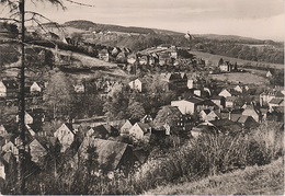 AK Schwarzenberg Ortsteil Wildenau Mit Brückenberg A Raschau Markersbach Langenberg Grünstädtel Elterlein Erzgebirge DDR - Schwarzenberg (Erzgeb.)