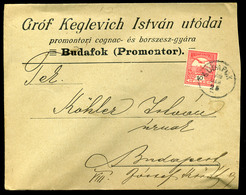 BUDAFOK 1909. Gróf Keglevich Szeszgyár, Céges Levél   /  Count Keglevich Alcohol Distillery Corp. Letter - Oblitérés