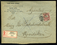 BUDAPEST 1894. Első Hazai Cognac Gyár Ajánlott Levél Újvidékre  /  Reg Letter From The First Hun. Cognac Distillery - Oblitérés