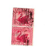 West Australia 1890, Extremely Rare Vertical Pair Unhinged - Used Stamps