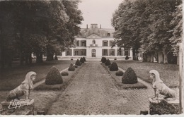 19 / 4 / 350   - CHÂTEAU  DE  LA  VERRIÈRE  ( 78 )   - LA COUR D'HONNEUR  - C P S M - La Verriere