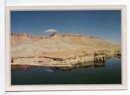 CPM - AFGHANISTAN - MOSQUÉE D'ALI - Afghanistan