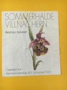 5507 -  Sommerhalde Villnachern Riesling X Sylvaner Suisse - Flowers