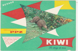 Buvard KIWI - Le Cirage De Luxe - C